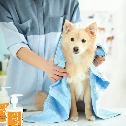 Pelomagia prodotti cosmetici professionali per cani e gatti